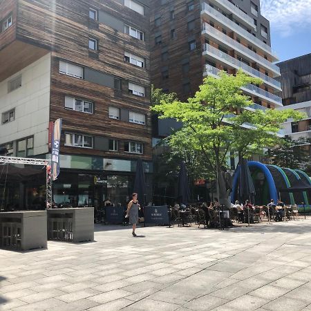شقة Studio Centre Annemasse Proche Ceva Geneva المظهر الخارجي الصورة